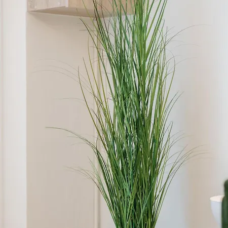 Blairhousecorinth 公寓