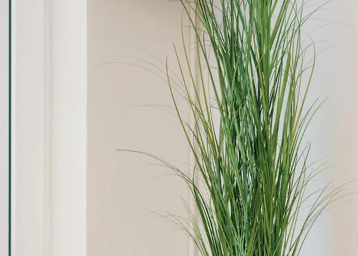 Blairhousecorinth Apartamento