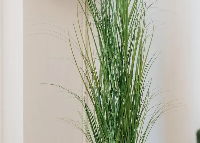 Blairhousecorinth Apartamento